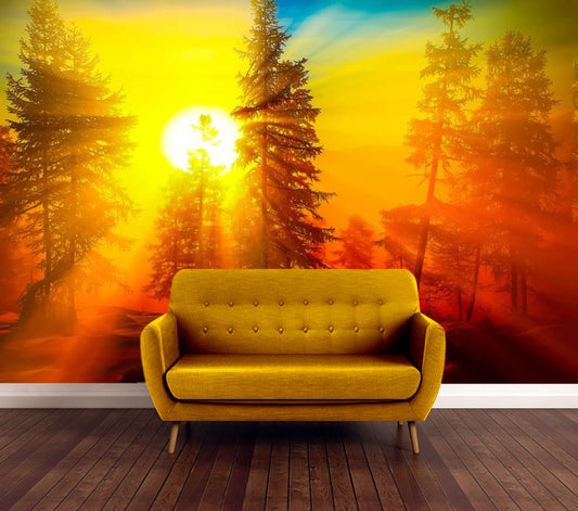 Wallpaper Murals Peel and Stick Removable Sunlight Through Forest High Quality