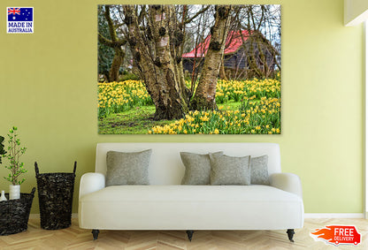 Trees & Yellow Flower Field Photograph Print 100% Australian Made