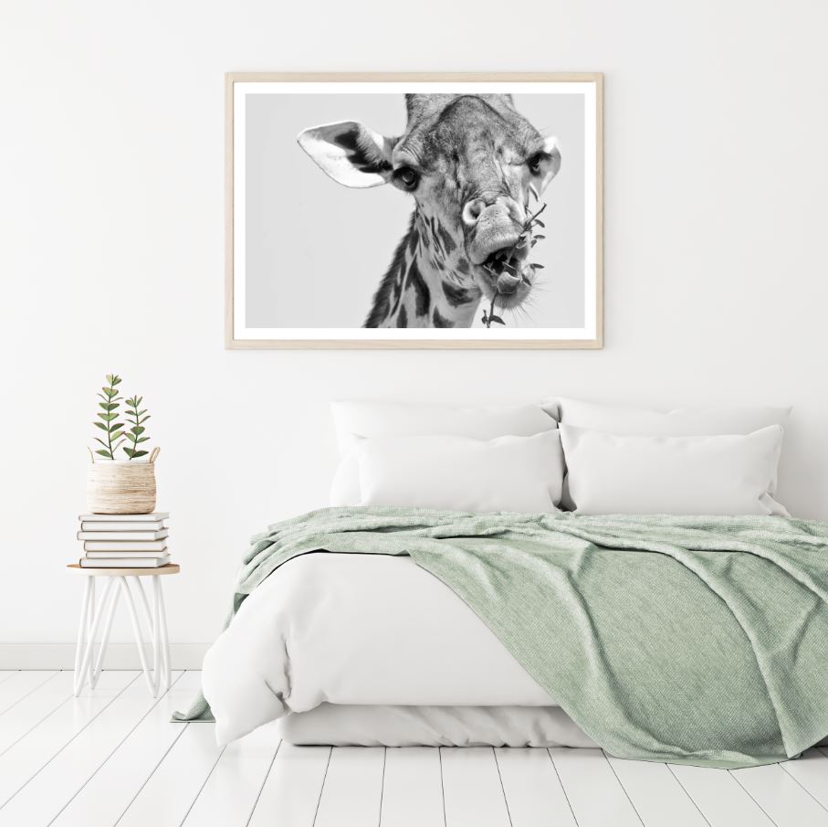 Giraffe Portrait Closeup B&W Photograph Home Decor Premium Quality Poster Print Choose Your Sizes