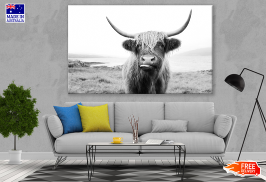 Highland Cow Black & White Portrait Photograph Print 100% Australian Made