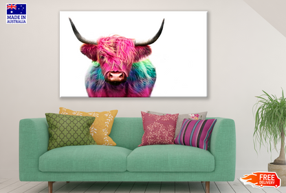 Pink Green Highland Cow Photograph Print 100% Australian Made