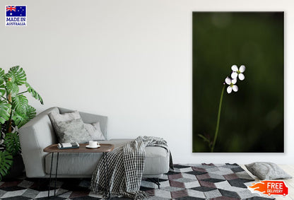 White Tiny Wildflowers Closeup Photograph Print 100% Australian Made