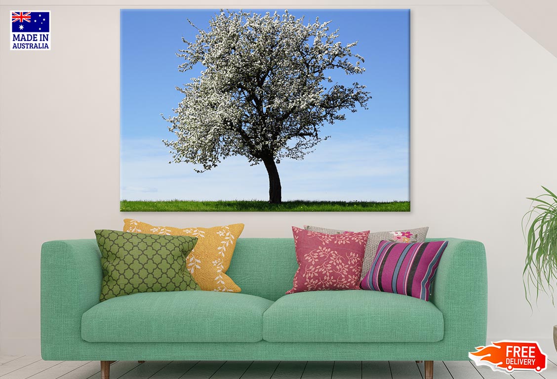 White Flower Tree View Photograph Print 100% Australian Made