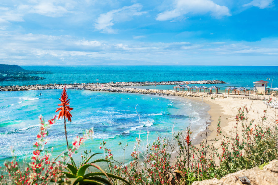 Bella Home Hilton Bay Beach View Tel Aviv Print Canvas Ready to hang