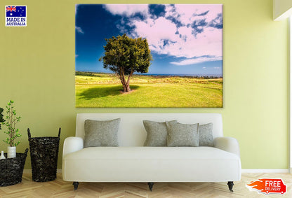 Huge Tree in Meadow Photograph Print 100% Australian Made