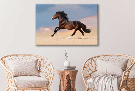 Bella Home Running Horse on Desert With Dust Print Canvas Ready to hang