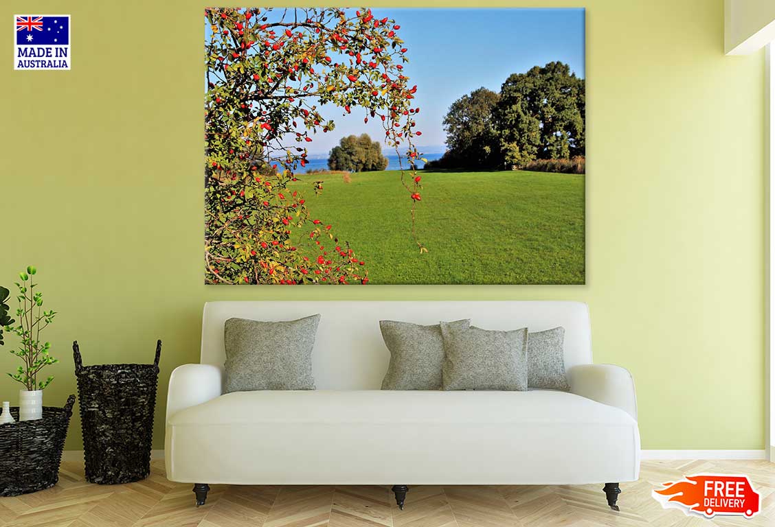 Fruit Tree & Bushes Near Sea Photograph Print 100% Australian Made