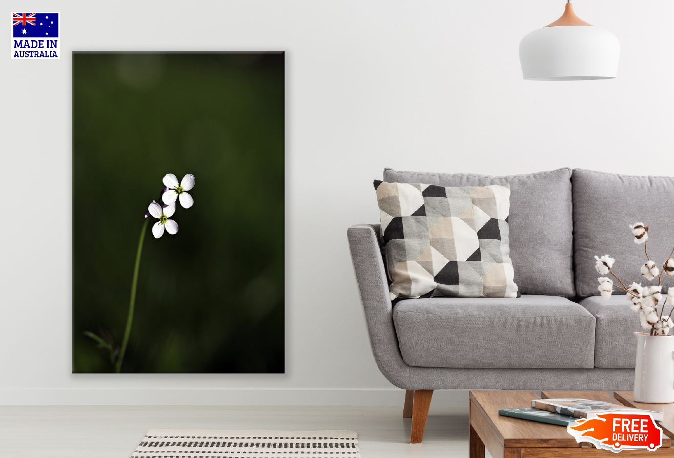 White Tiny Wildflowers Closeup Photograph Print 100% Australian Made