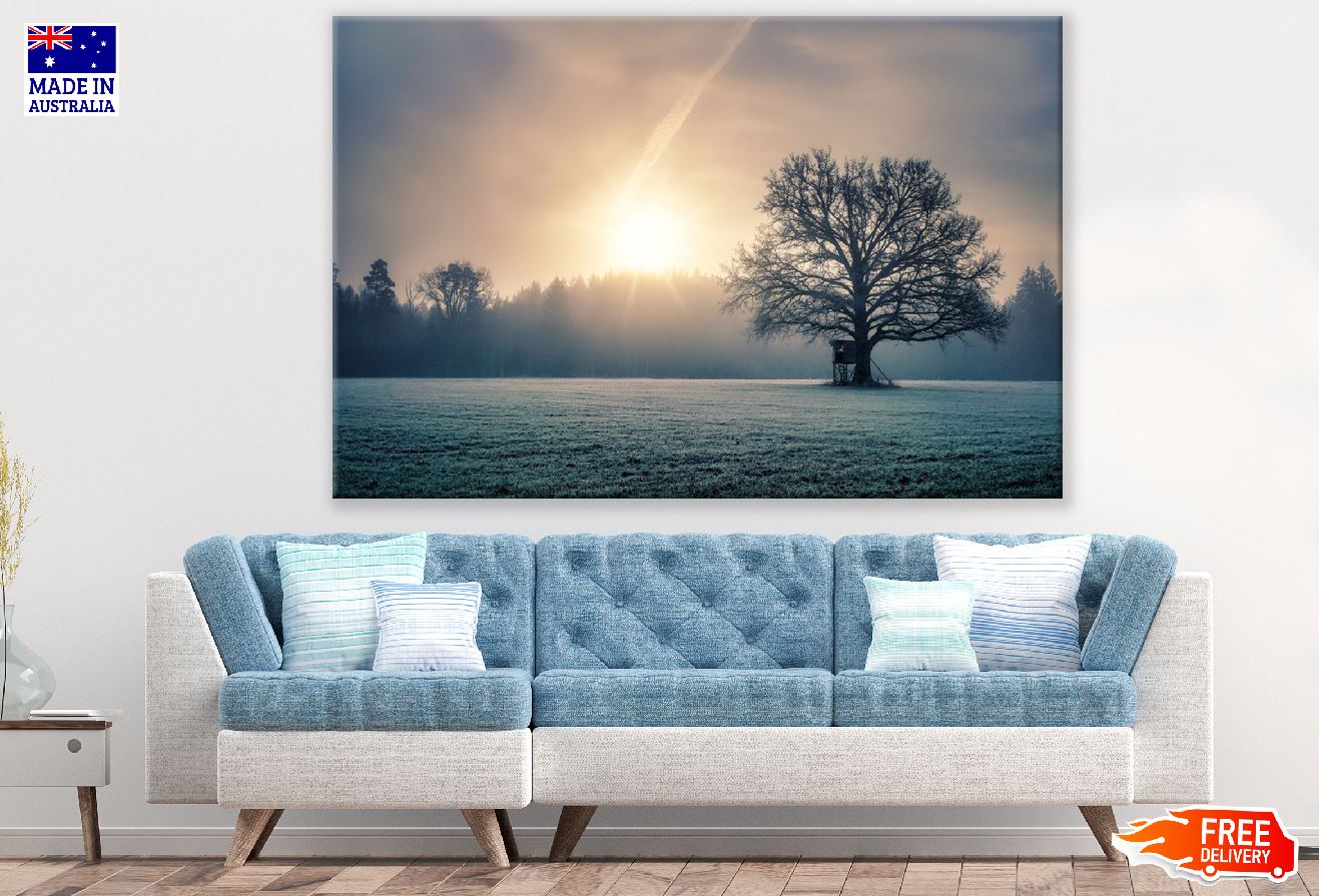 Tree on Snow Field Sunlight Photograph Print 100% Australian Made