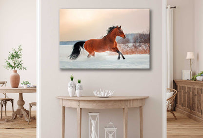 Bella Home Horse Portrait Winter Gallop Snow Print Canvas Ready to hang