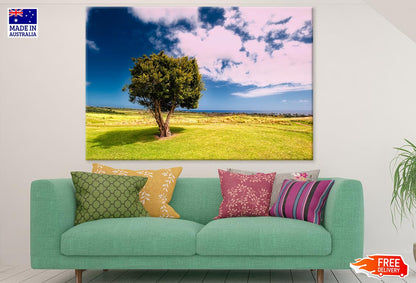 Huge Tree in Meadow Photograph Print 100% Australian Made