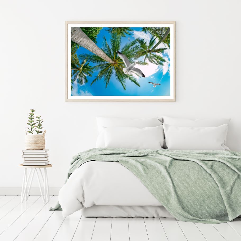 Sea Gulls & Palm Trees Photograph Home Decor Premium Quality Poster Print Choose Your Sizes