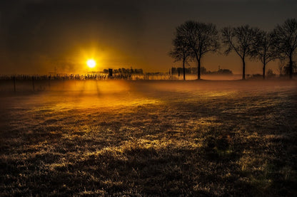 Winter Grass Field Sunrise Photograph Print 100% Australian Made