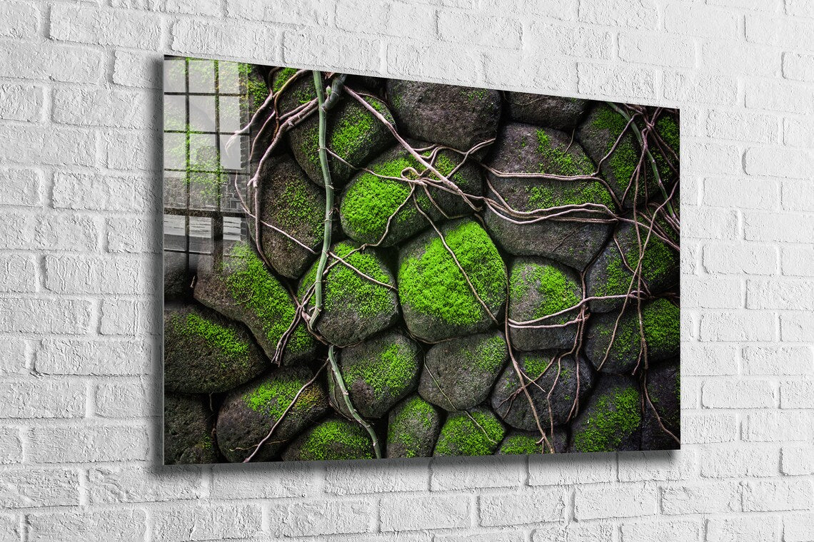 Rocks in the Moss Print Tempered Glass Wall Art 100% Made in Australia Ready to Hang