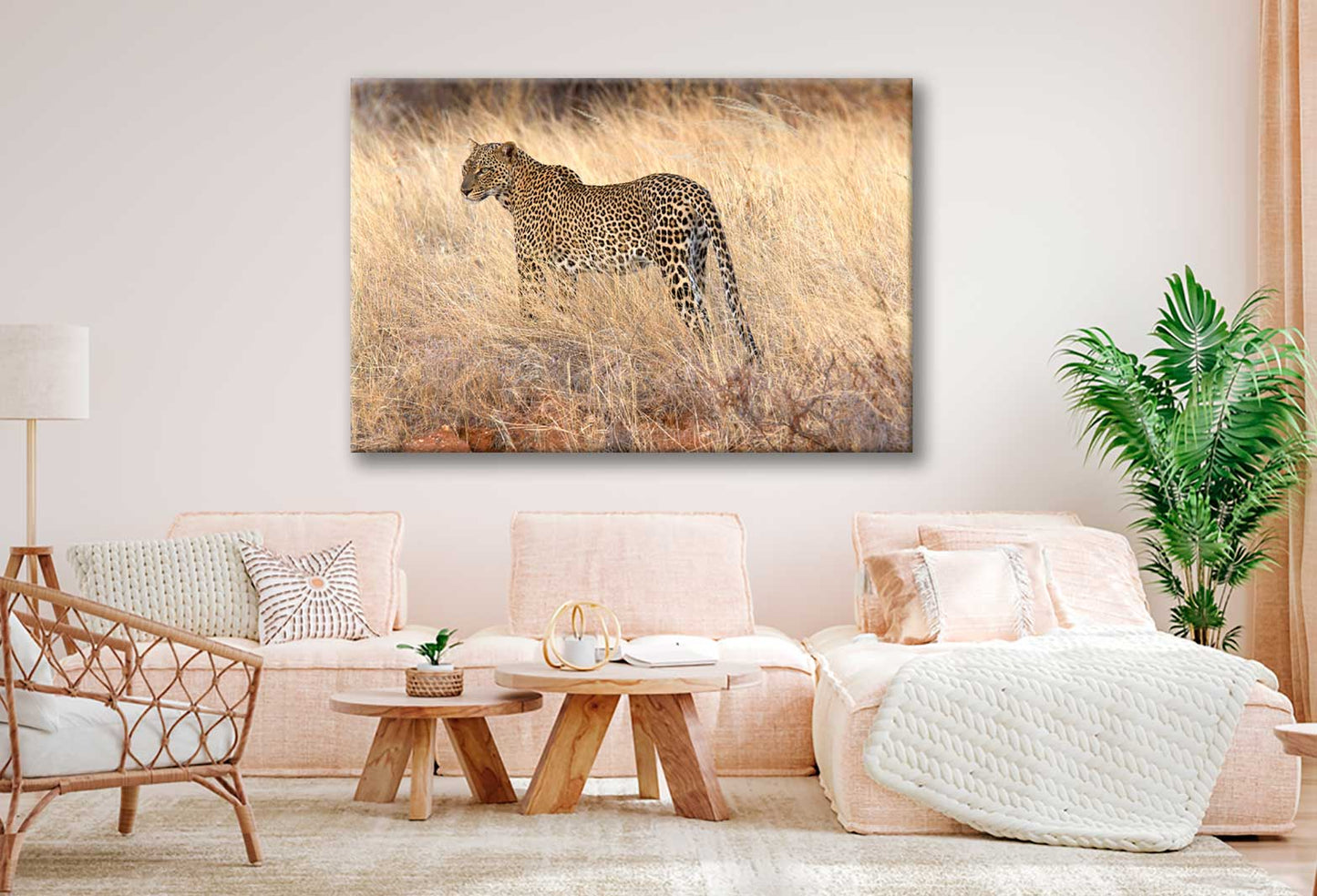 Bella Home Adult Leopard In Dry Brown Grass Print Canvas Ready to hang