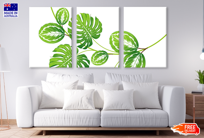 3 Set of Leaves Painting Design High Quality print 100% Australian made wall Canvas ready to hang