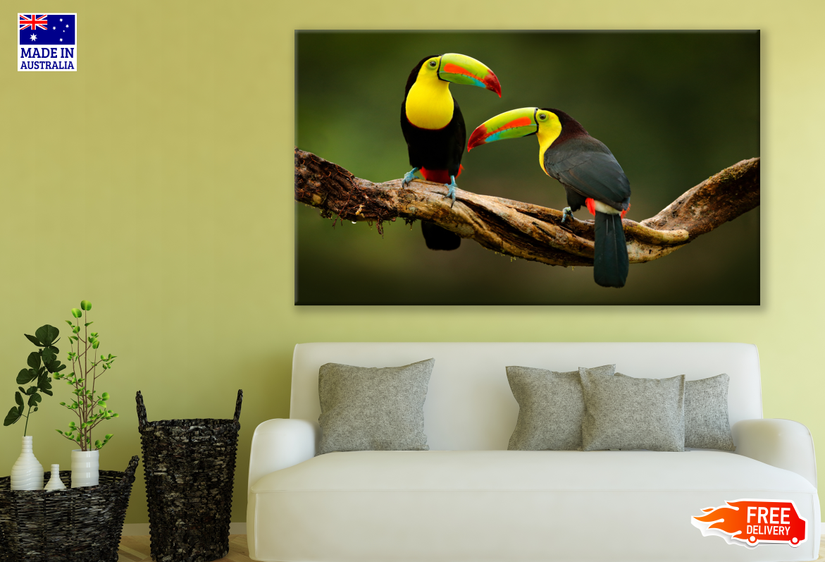 Keel Billed Toucan Pair Birds Print 100% Australian Made