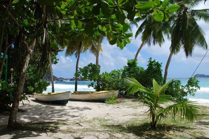 Boats & Palm Trees on Sea Shore Photograph Print 100% Australian Made