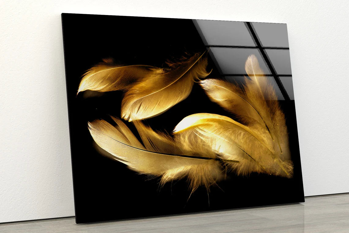 Gold Feathers Photograph Acrylic Glass Print Tempered Glass Wall Art 100% Made in Australia Ready to Hang