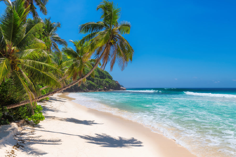 Sea & Palm Trees Jamaica Island Photograph Home Decor Premium Quality Poster Print Choose Your Sizes