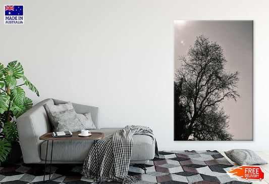 Dead Tree with Sky B&W Photograph Print 100% Australian Made