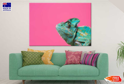 Colorful Chameleon Closeup View Photograph Print 100% Australian Made