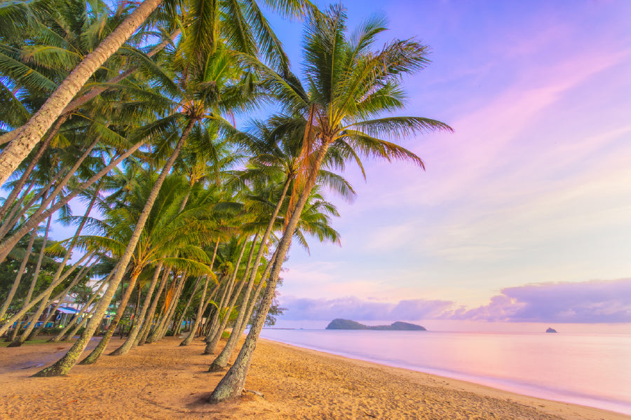 Palm Trees in Trinity Beach View Photograph Print 100% Australian Made