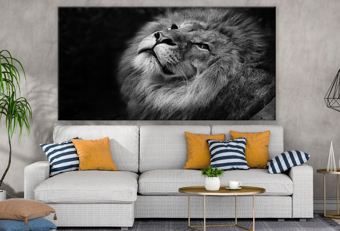 Lion Face Portrait Print 100% Australian Made