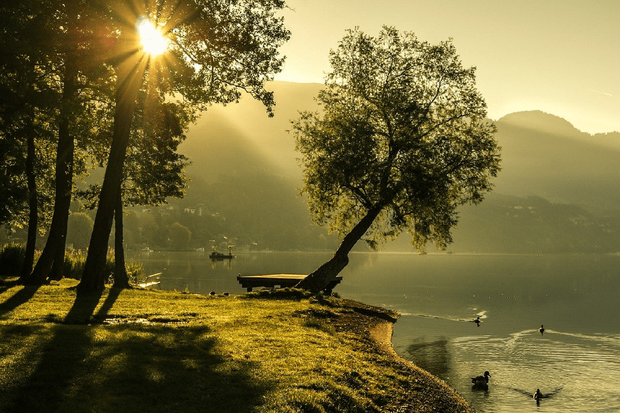 Trees & Lake with Boat Sunset Photograph Print 100% Australian Made