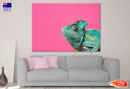 Colorful Chameleon Closeup View Photograph Print 100% Australian Made