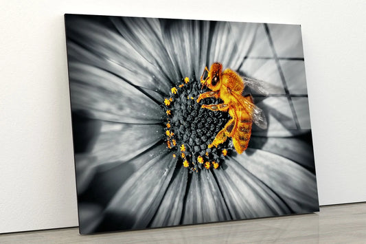 Bee on B&W Sunflower Acrylic Glass Print Tempered Glass Wall Art 100% Made in Australia Ready to Hang