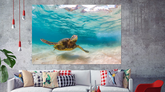 Turtle Sea Print 100% Australian Made