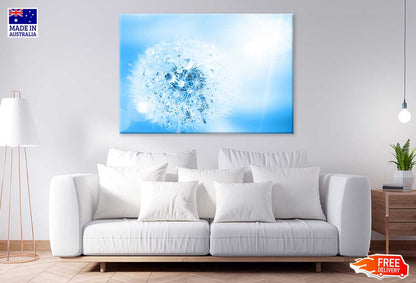 Water on Dandelion Macro View Photograph Print 100% Australian Made