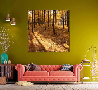 Square Canvas Autumn Trees & Leaves Scenery Photograph High Quality Print 100% Australian Made