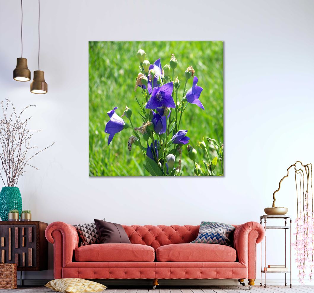 Square Canvas Purple Bell Flowers with Buds Photograph High Quality Print 100% Australian Made