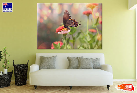 Black Satyrium Butterfly on Pink Flower Photograph Print 100% Australian Made