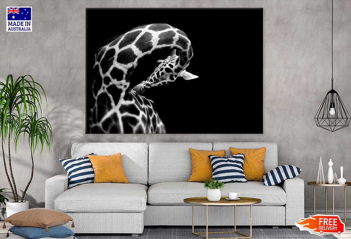 Giraffe B&W View Photograph Print 100% Australian Made