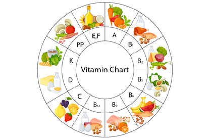 Vitamin Food Chart Diagram Vector Art Print 100% Australian Made