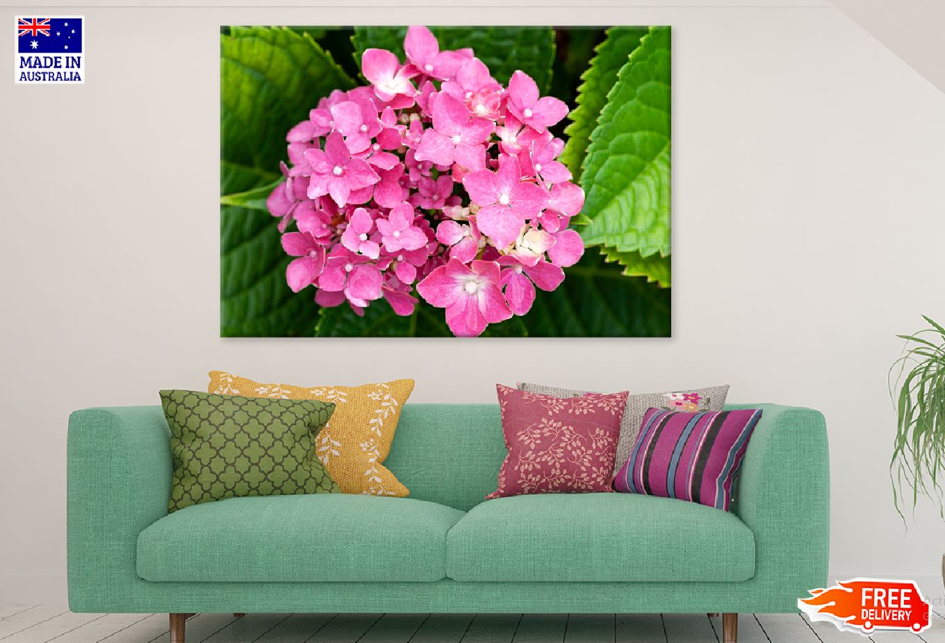 Pink Hydrangea Flower Closuep View Photograph Print 100% Australian Made