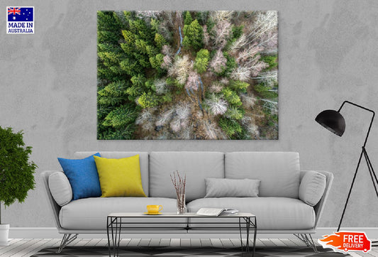 Spruce Trees Aerial View Photograph Print 100% Australian Made