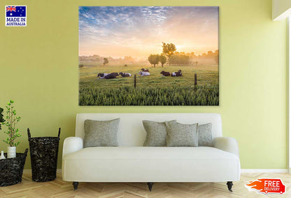 Cows in a Field View Photograph Print 100% Australian Made