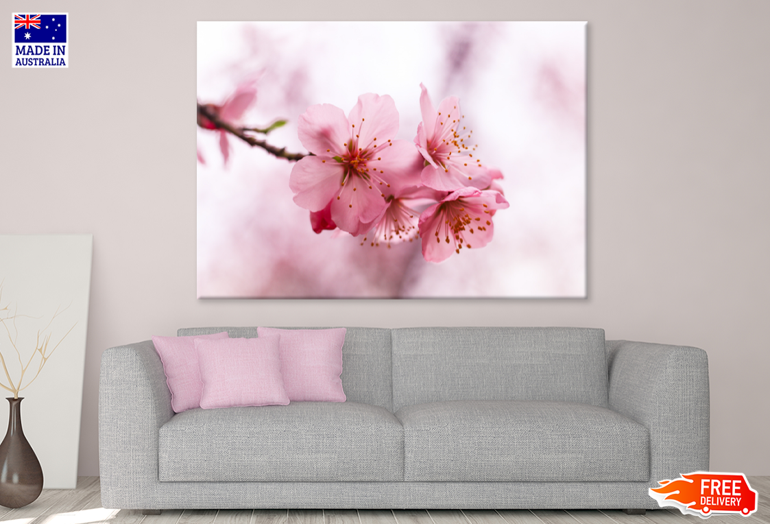 Blossom Flowers On Tree Closeup Photograph Print 100% Australian Made