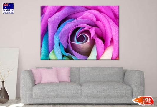 Purple Pink & Blue Flower Petal Photograph Print 100% Australian Made