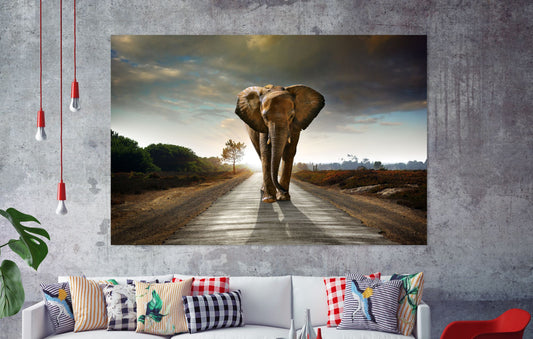 Elephant Beautiful Stunning Print 100% Australian Made