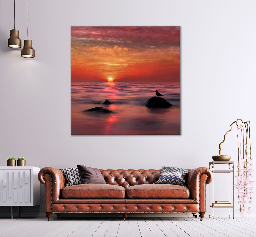 Square Canvas Bird on Sea Rocks Sunset View Photograph High Quality Print 100% Australian Made