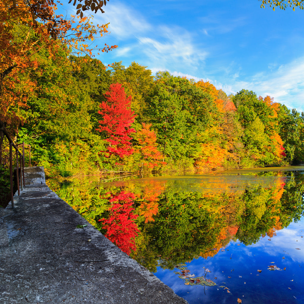 Square Canvas Lake with Autumn Trees View Photograph High Quality Print 100% Australian Made