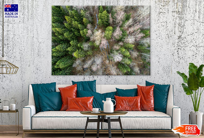 Spruce Trees Aerial View Photograph Print 100% Australian Made