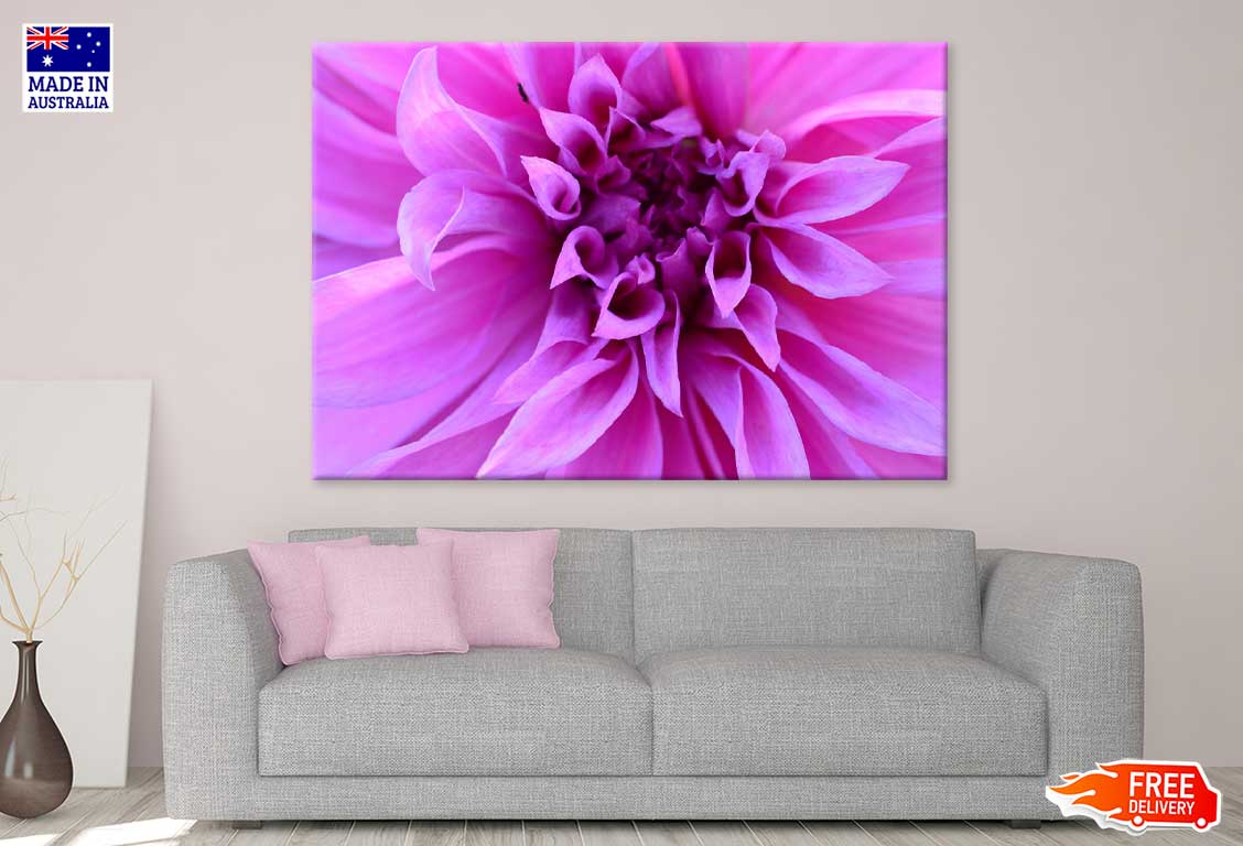 Purple Calyx Flower Closeup View Photograph Print 100% Australian Made