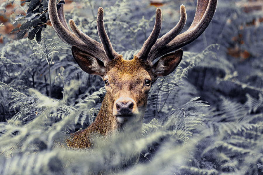 Trees Covered Deer Closeup View Photograph Home Decor Premium Quality Poster Print Choose Your Sizes