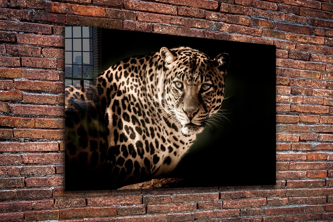 Leopard Closeup View Print Tempered Glass Wall Art 100% Made in Australia Ready to Hang